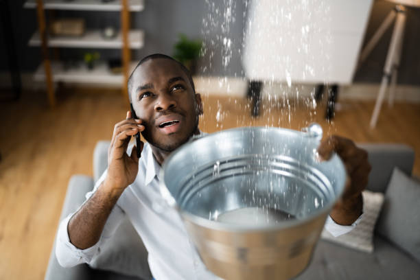 Best Professional water damage repair  in Superior, NE