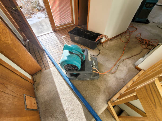 Best 24-hour water damage restoration  in Superior, NE