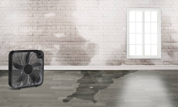 Best 24/7 water damage repair  in Superior, NE